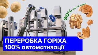 Лінія переробки волоського горіха 200 кг на годину. Горіхокол понад 80% цілого ядра.