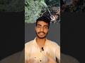 "Trees are being cut on 400 acres of land in Hyderabad." #waqfboard#amendmentbill