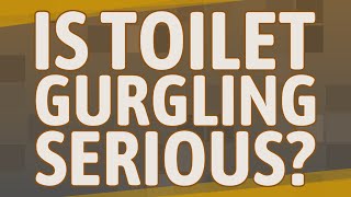 Is toilet gurgling serious?