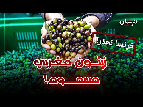 فرنسا تسحب زيتون مغربي المبيد الخطير يهدد صحة المستهلكين