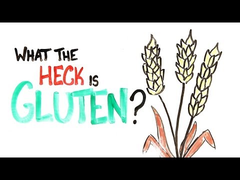 what-the-heck-is-gluten?