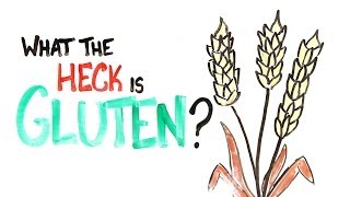 What The Heck Is Gluten