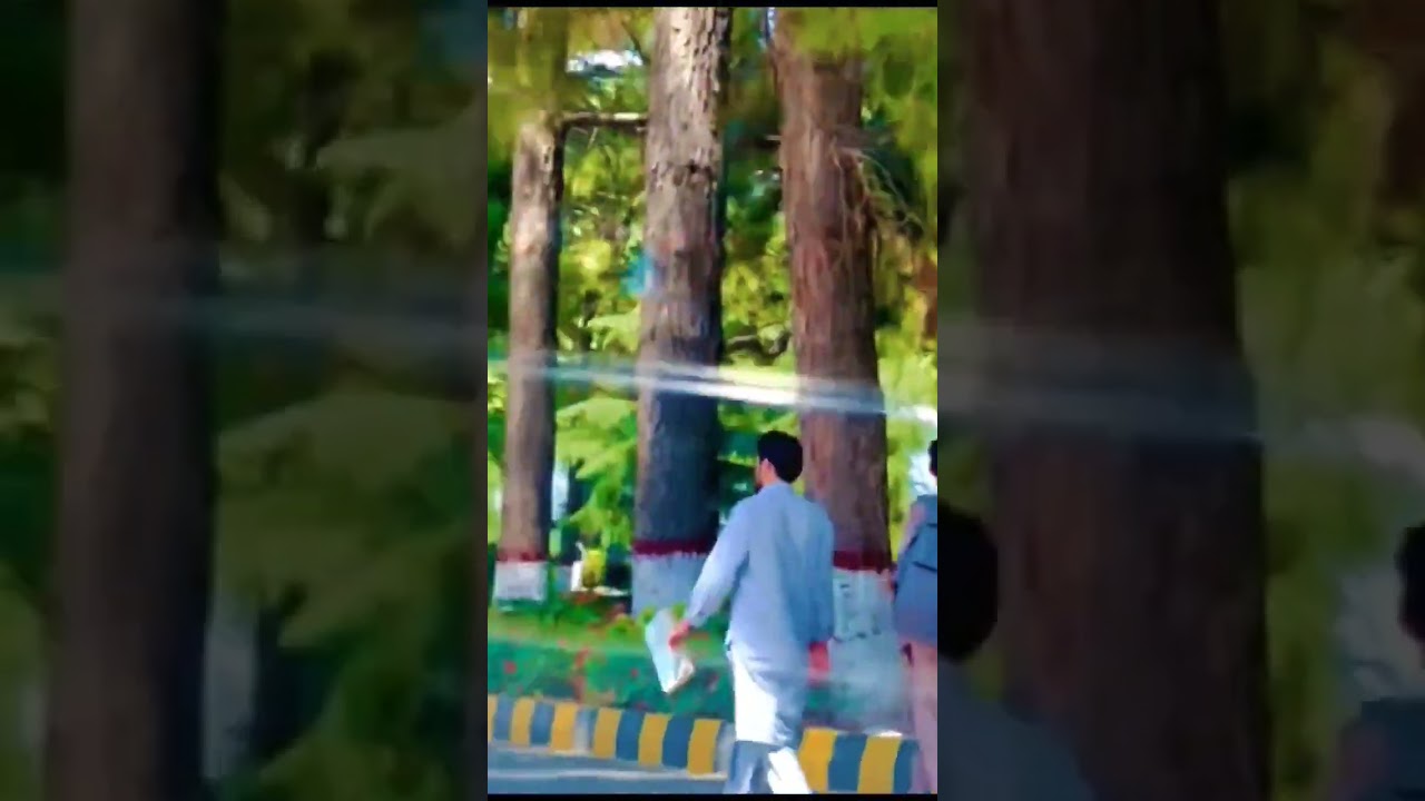 Hazara University KPK || Beautiful Mountain 🏔️ View Amazing Green 💚🍏 University of Pakistan 