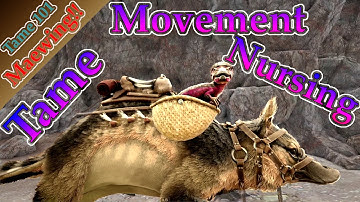 Taming 101 How to Tame a Maewing, Movement and Nursing guide too!!| Ark Survival Evolved