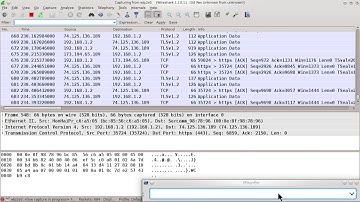 Wireshark protocol filters