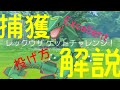 【レックウザ】Excellentの投げ方を解説！レックウザ簡単ゲットを目指そう！【ポケモンGO】