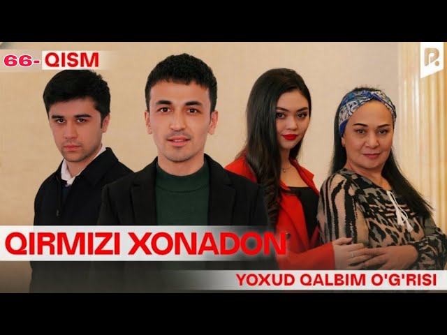 Qalin xorozni yaxshi koradi Qalin xorozni yaxshi koradi