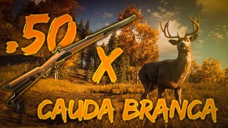 THE HUNTER CALL OF THE WILD GAMEPLAY - .50 X VEADOS DE CAUDA BRANCA screenshot 2