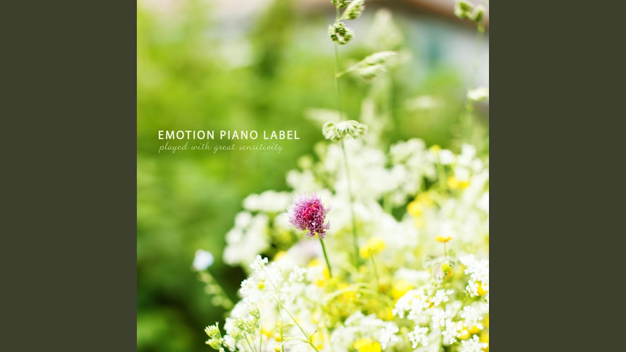 Time Of Happiness YouTube