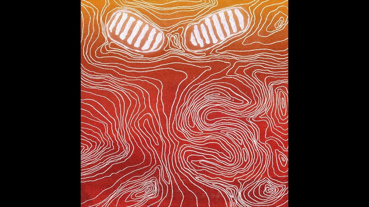 Dabin.kr - Saucer (Official Audio)