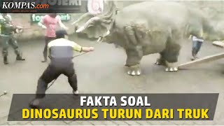 Video Viral Seekor Dinosaurus Turun dari Truk di Magetan, Ini Faktanya