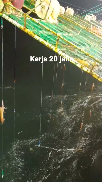 ABK Kapal cumi Taiwan #pelautindonesia