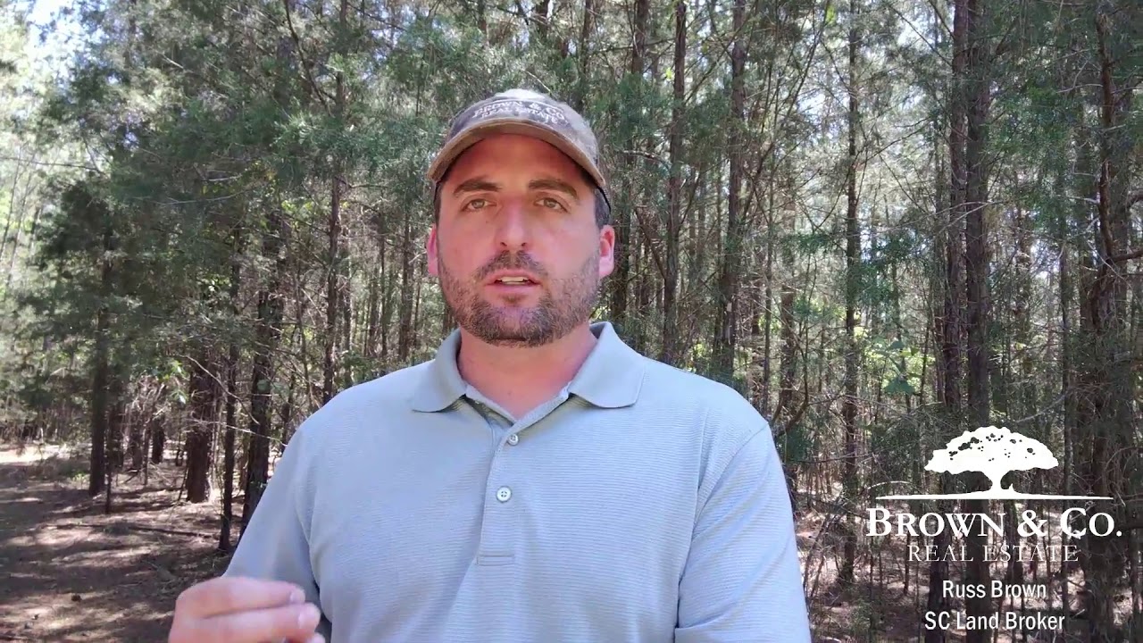 6.06 Acres Richland County, SC YouTube