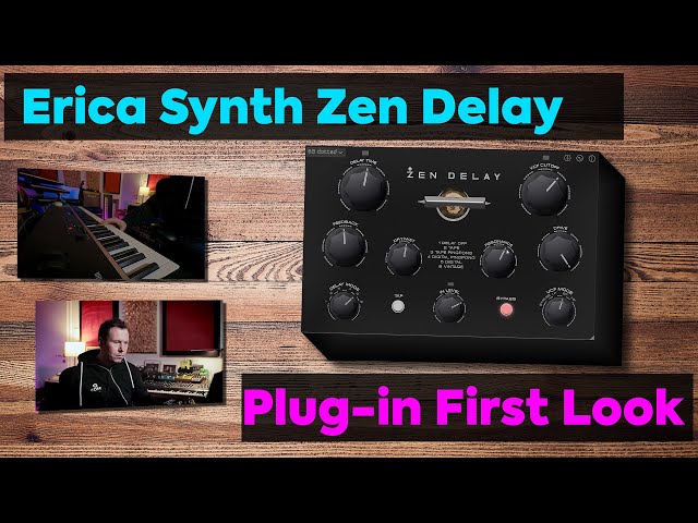Erica Synth Zen Delay Virtual - Plug-in First Look - YouTube