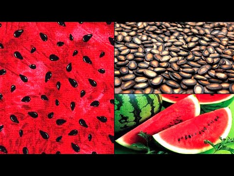 REMOVE WATERMELON SEEDS AND BOIL THEM UP YOU WILL BE AMAZED AT OUTCOME RESULTS!