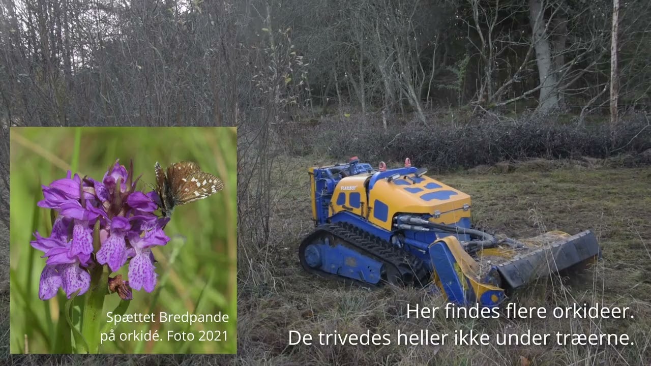 Knusning af vegetation, Bannerslund Hede 2024