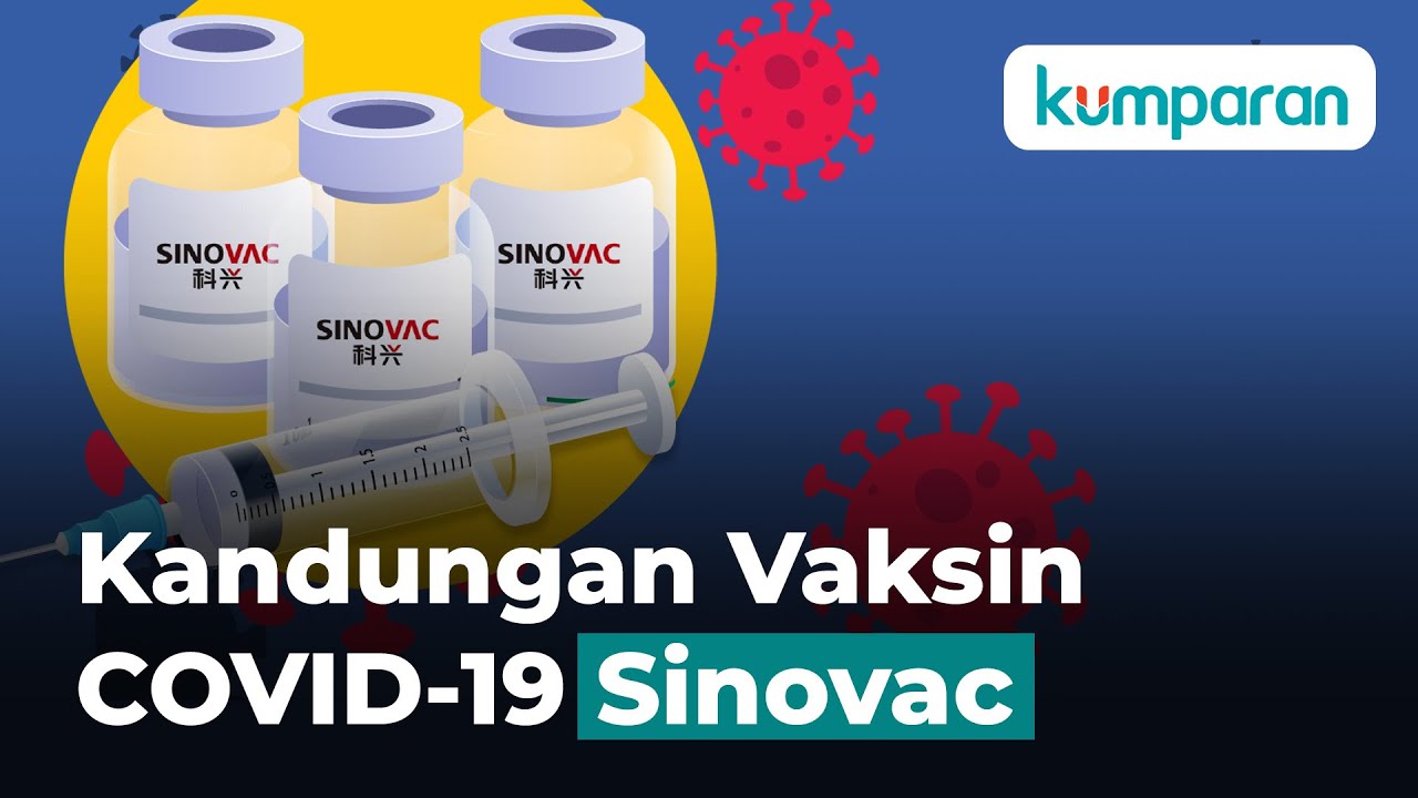 Kandungan Vaksin Covid 19 Sinovac Youtube