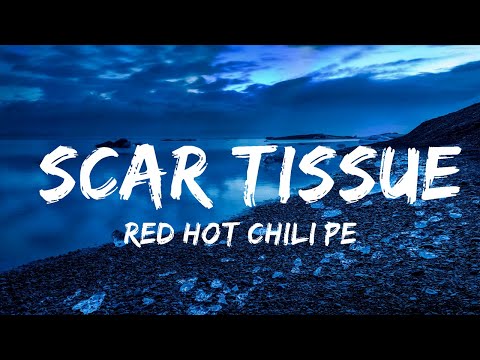 洋楽 RED HOT CHILI PEPPERS/SCAR TISSUE Red Hot Chili Peppers - Scar Tissue [Official Music Video