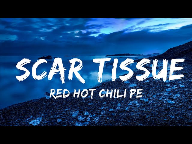 Red Hot Chili Peppers - Scar Tissue (Lyrics) | Best Songs