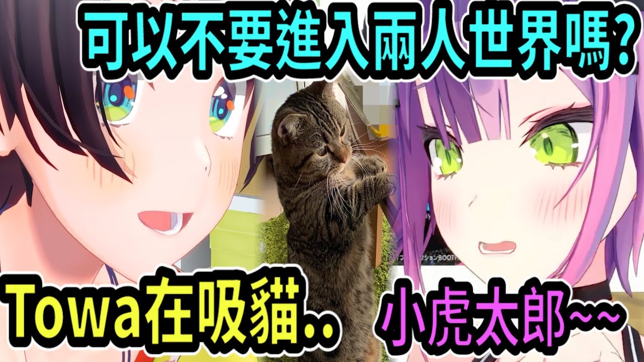 Towa直播時直接吸貓!! 486在旁邊看著她們進入兩人世界ww【hololive中文】 【Vtuber精華】【常闇トワ】【とこやみとわ】【常闇永遠】【Towa】【大空昴】