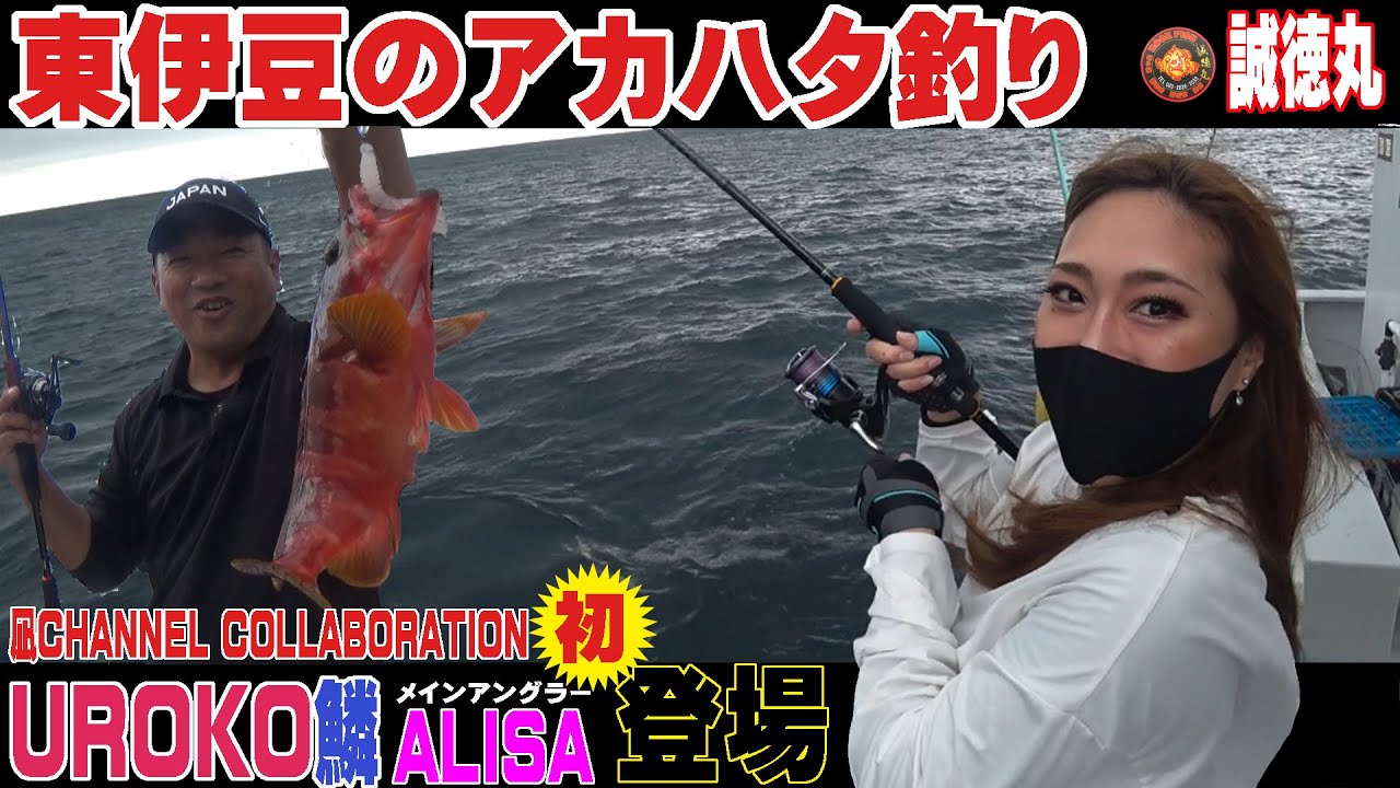 【誠徳丸】アカハタ釣り　東伊豆