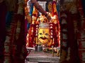 karaulisarkarLive onlineAajTakNews ##trending# ##karaulisarkar##live##online##aajt#trending#aajtak