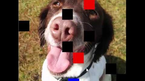 DT228 Object Oriented Programming Assignment 2014