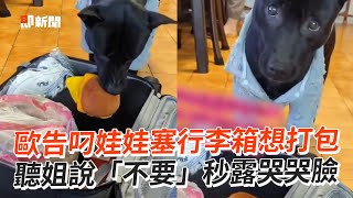 歐告叼娃娃硬塞行李箱「強迫打包」被拒露哭臉寵物動物狗狗黑狗