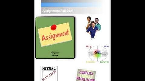 SteveMillers Psychology 1 Video Assignment F21