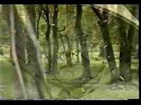 Video Nho mua thu Hanoi - Hong Nhung - youtube