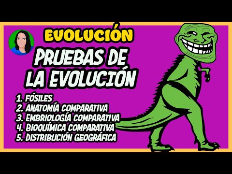 Video: ¿Cómo muestra la embriología la evolución?