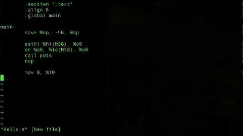 SUN SPARC assembly hello world