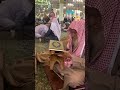 وفاة أحمد السهلي صاحب البشت الذي ظهر في مقطع إنساني مع باكستاني في المسجد النبوي التفاصيل في الوصف