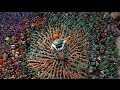 Concurs de Castells de Tarragona - 4d10fm Castellers de Vilafranca