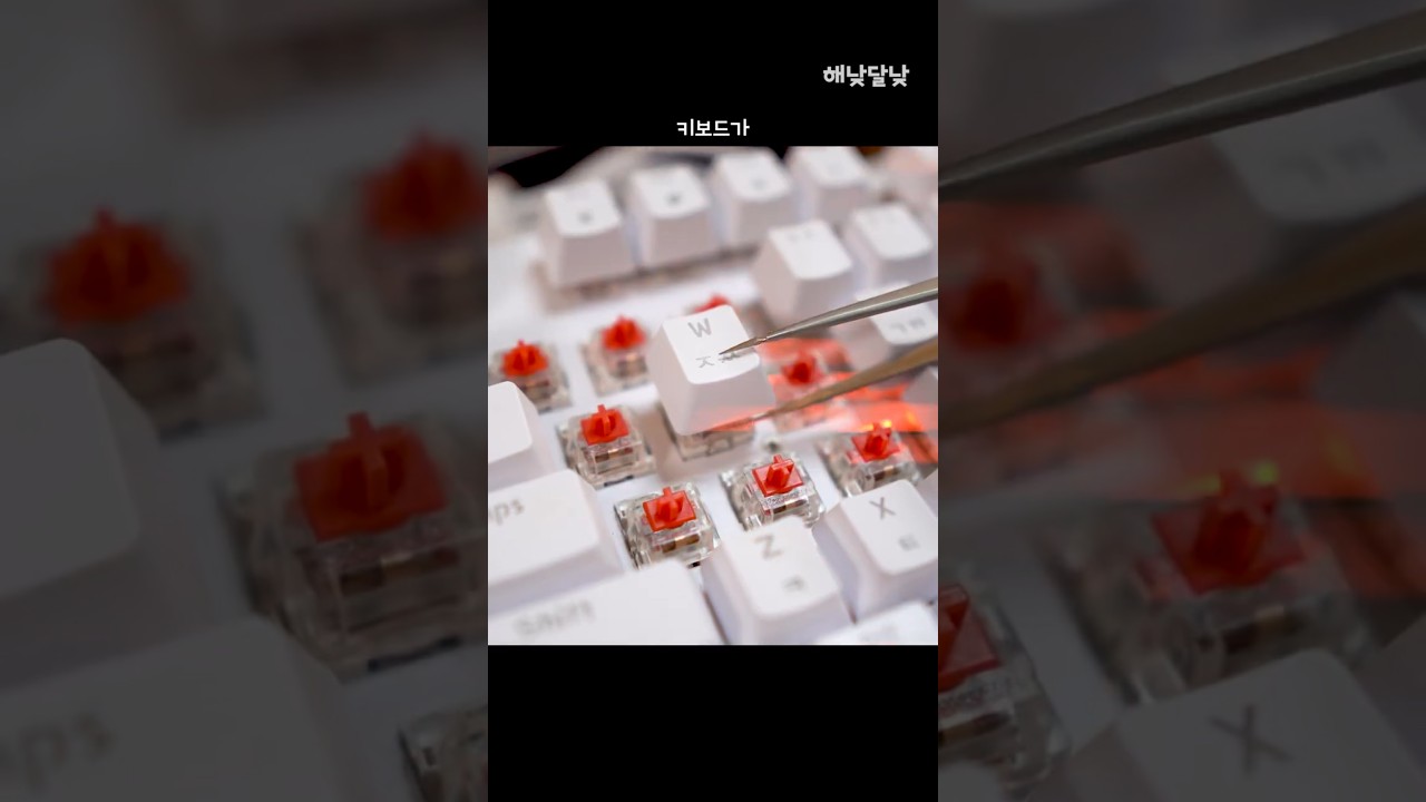 ㅈ이 안 눌리는 고장 난 앱코 K560 키보드!