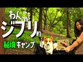 【キャンプ】犬連れ夫婦 新ギア持って秘境でデイキャンプ short Ver.