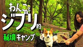 【キャンプ】犬連れ夫婦 新ギア持って秘境でデイキャンプ short Ver.