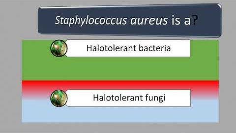 PROCESSING MCQ FOR ICAR-PG NET PHD