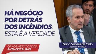 Há Negócios Por Detrás Dos Incêndios Esta É A Verdade