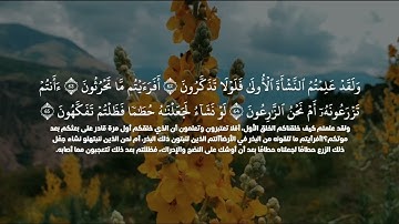 سورة الواقعة بصوت القارئ : سعود محمد الفايز