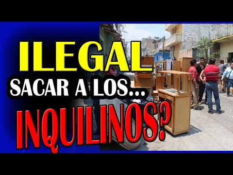 Video: Qué Hacer Si Lo Desalojan Del Apartamento