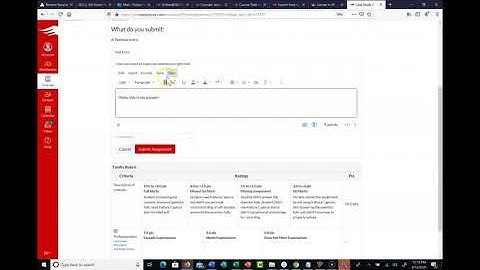 Submit a Textbox Assignment in Canvas