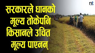 सरकारले धानको मूल्य तोेकेपनि किसानहरु ठगिने क्रम रोकिएन || Nepal Times screenshot 1