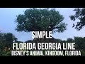 Simple- Florida Georgia Line (ASL/PSE Cover)
