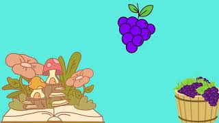 MEYVELERİ ÖĞRENİYORUM | EĞİTİCİ ÇOCUK VİDEOLARI | ÇOCUK TV