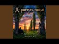 Де ростуть тополі 