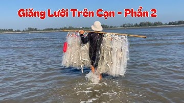 Phần 2: Mẻ cá đối giăng trên cạn, lại tiếp tục trúng đậm