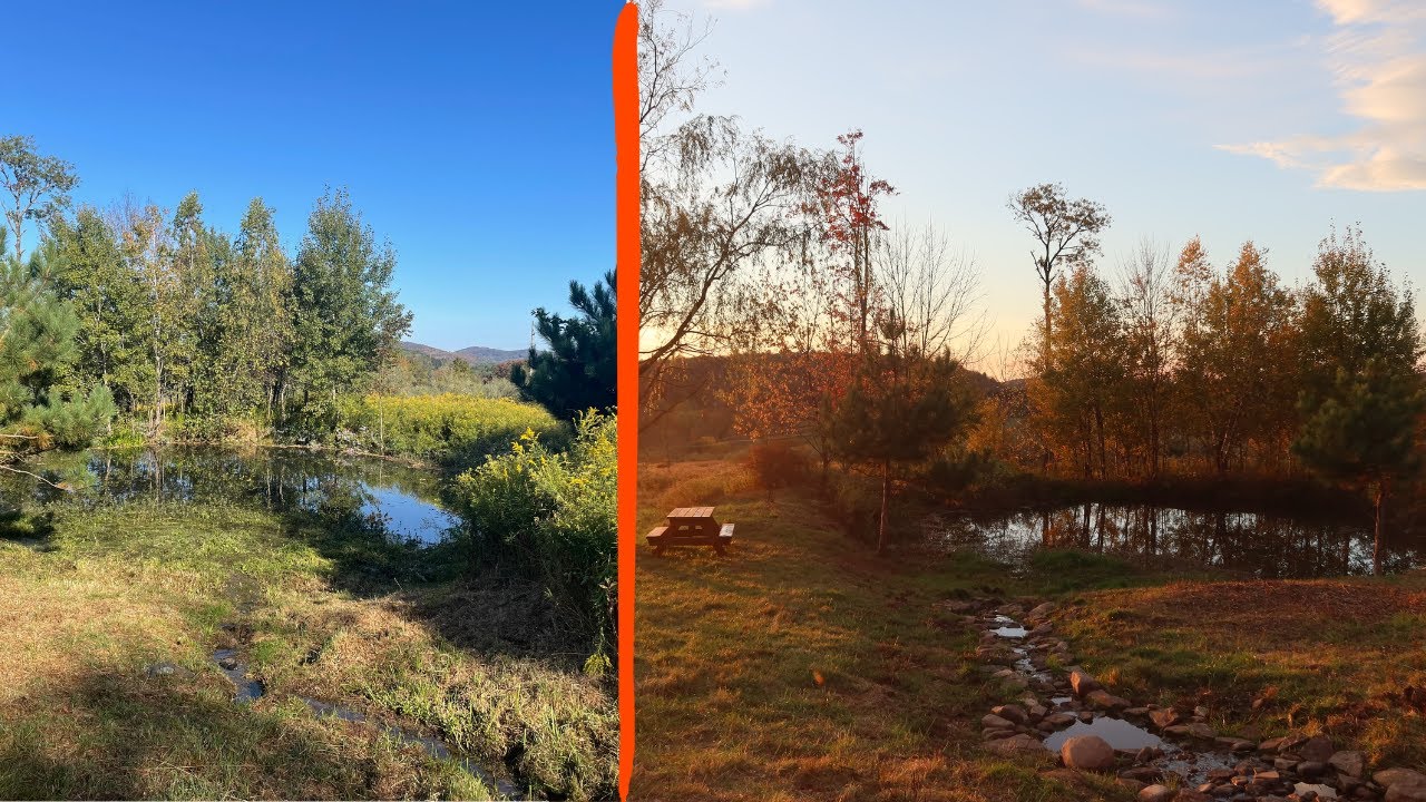 Creating Freshwater Stream for Farm Pond