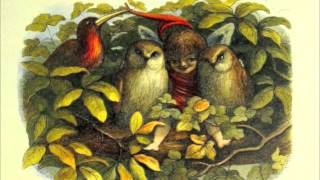 The Fairies - William Allingham