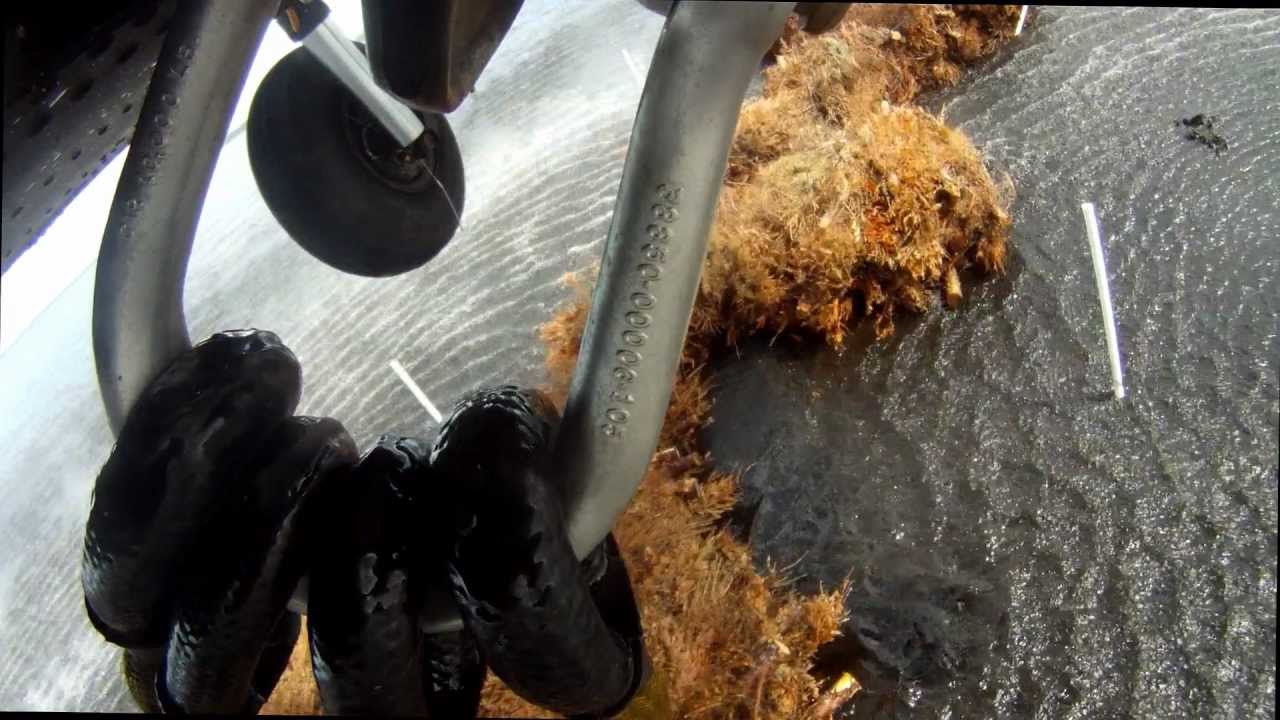 Protecting the Wetlands